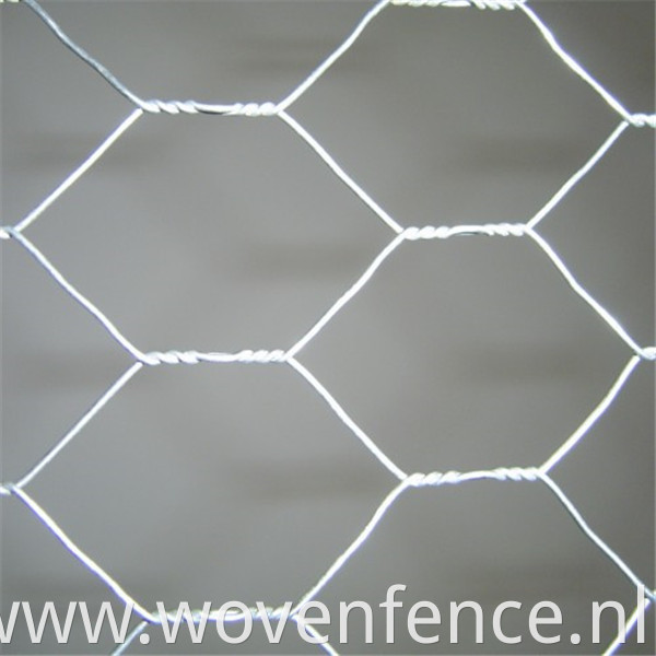 Hexagonal wire mesh